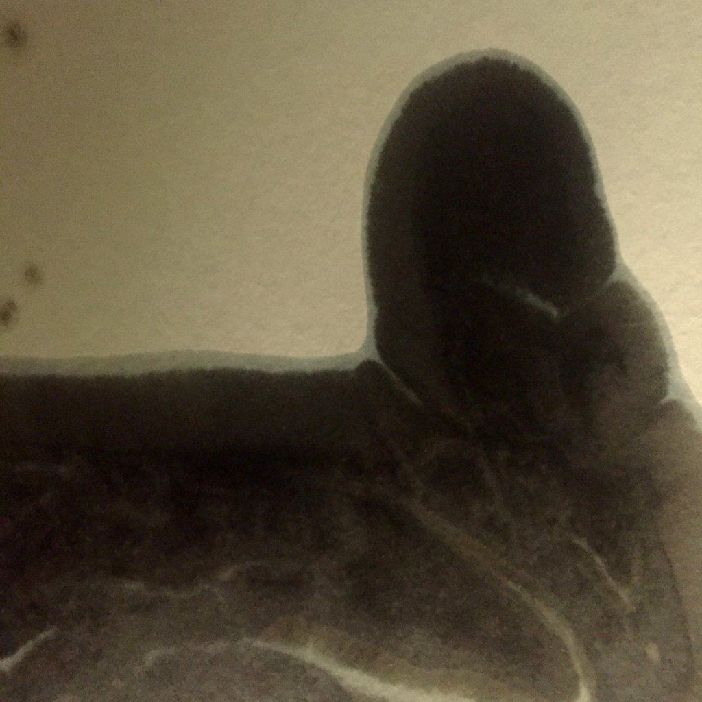 Premiere Club Furies: 0010×0010 – Digital War 4 Analog Peace (Modvs Remix) [Diffuse&nbsp;Reality]