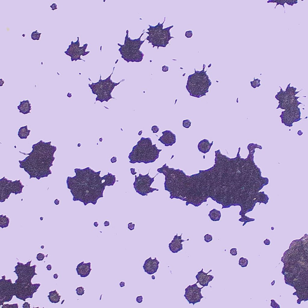 Premiere Club Furies: Datacrashrobot – Microcontrollers [Diffuse Reality&nbsp;Records]