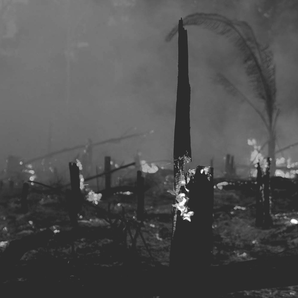 Reseña Club Furies: Illegal Alien y Urban Groove: la búsqueda cósmica de la síntesis&nbsp;perfecta