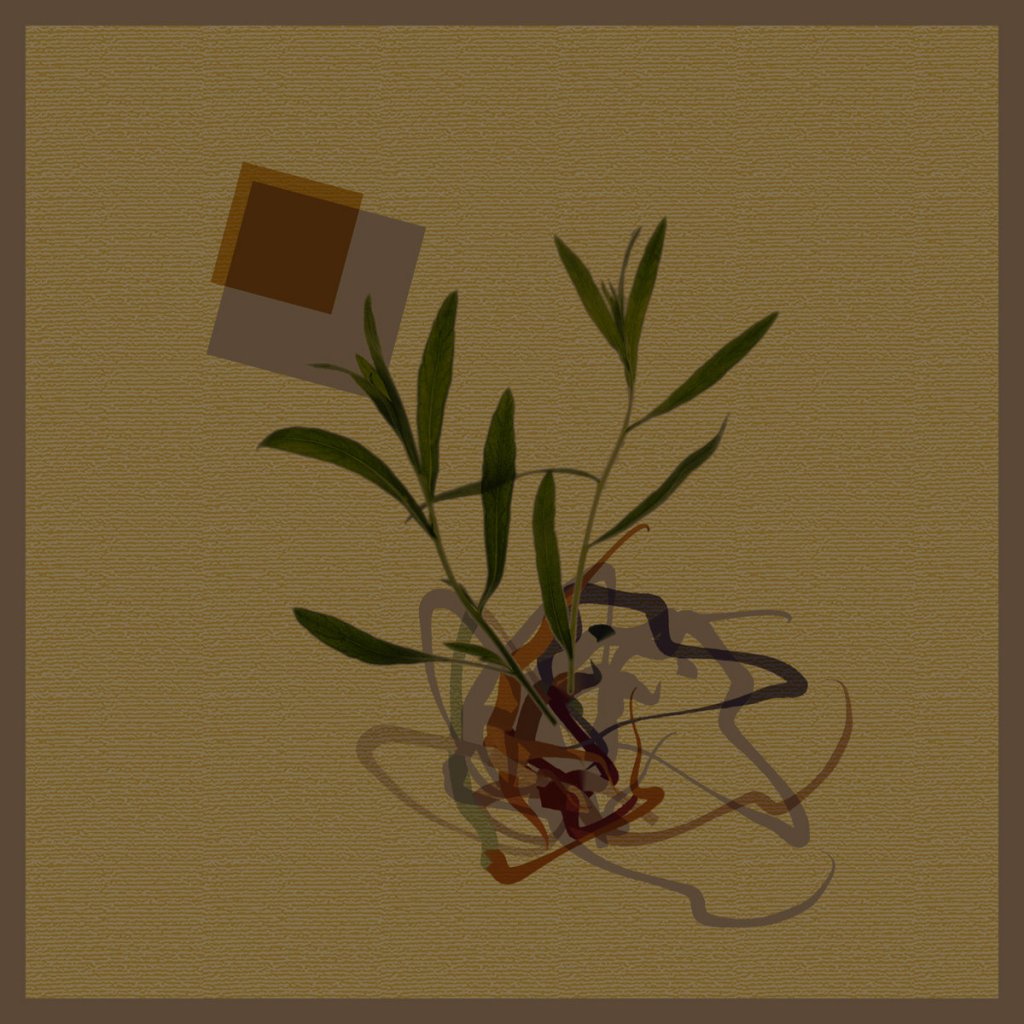 Premiere Club Furies: CausaliDox — Consensus Reality [Teorema by Diffuse Reality&nbsp;Records]