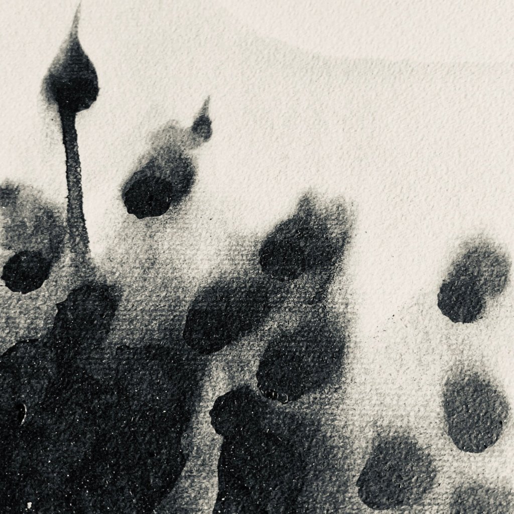 Premiere CF: d_b (Déformation Booléenne) – Ping Is My Dog Pong Is My Dong (Løt.te Remix) [Diffuse Reality&nbsp;Records]