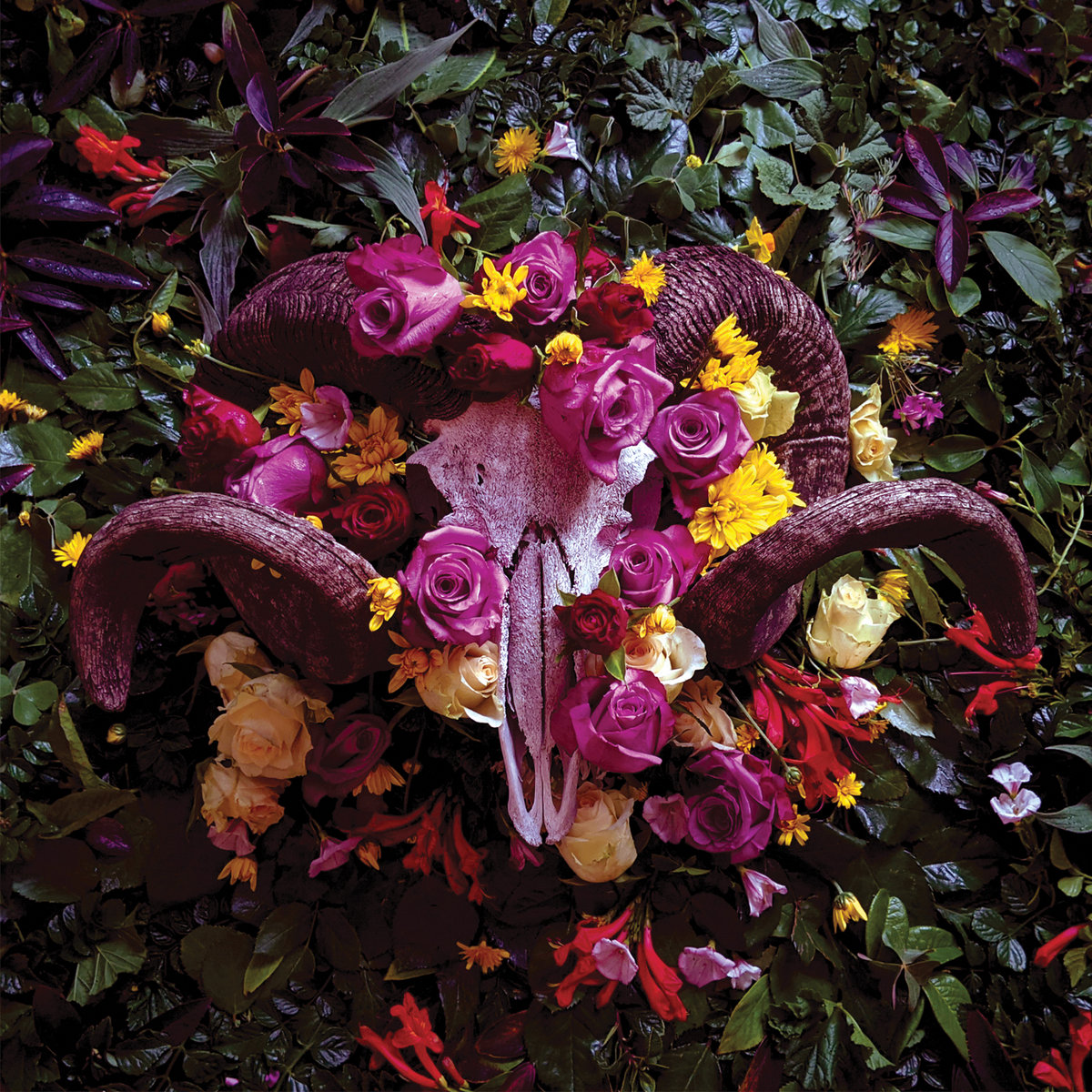 Premiere Club Furies: Wake World — Beneath The Earth [Diffuse Reality ...