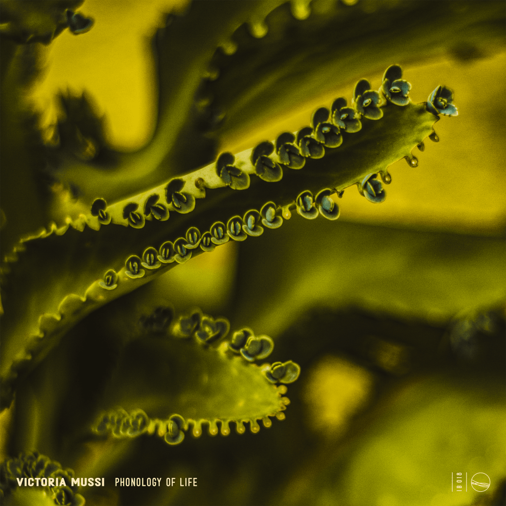 Premiere Club Furies: Victoria Mussi — A Larger Size&nbsp;[Inbetween]