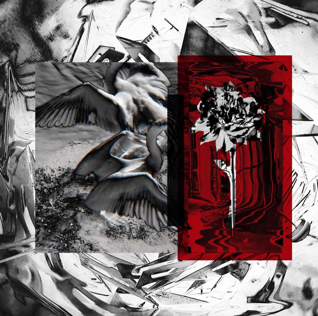 Premiere Club Furies: Distant —  Livrie Bargee [Soil&nbsp;Records]