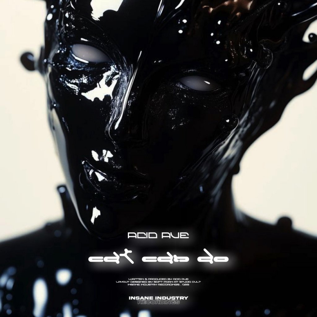 Of electronic cats and galactic electricity. cat can do presents Acid Ave by Insane Industry&nbsp;Recordings