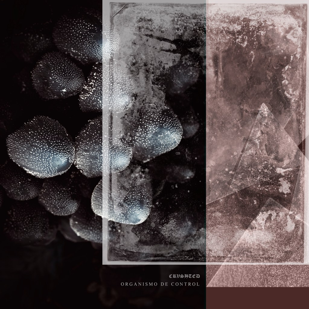 CF Premiere: Crushted – Organismo de control [EXP&nbsp;Records]