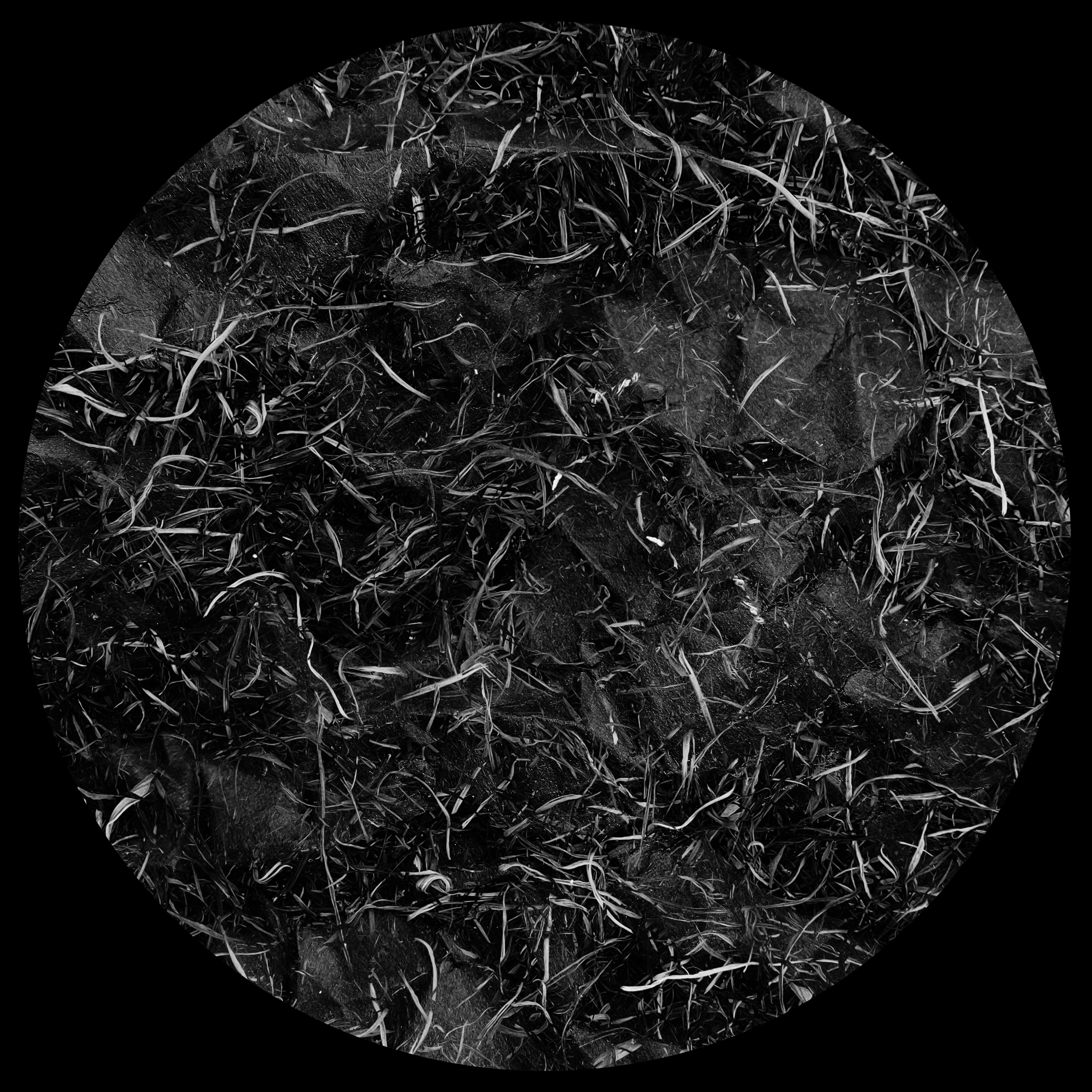 Sorry! Image not available at this time