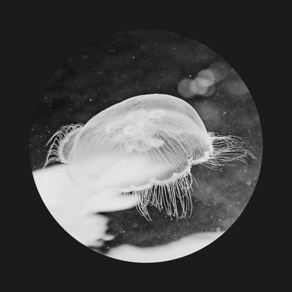 CF Premiere: Sid Porwal – Baltane&nbsp;[Systolic]