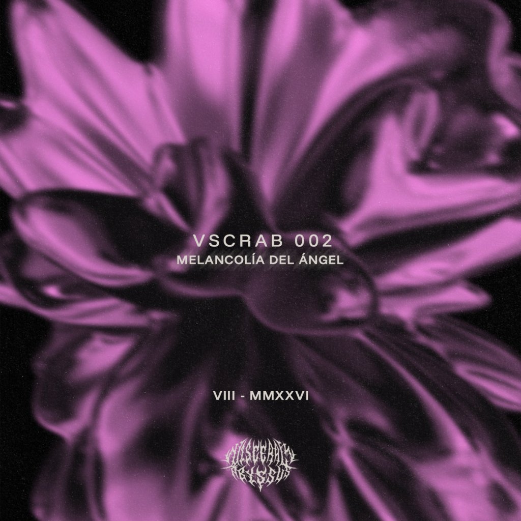 CF Signals: Morgana Parel – Línea límite (Pulso Remix) [Visceral&nbsp;Abyssus]
